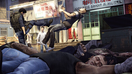 sleeping dogs