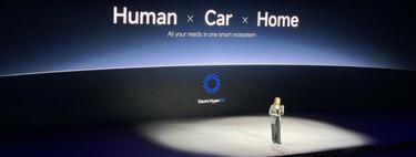 Xiaomi ya no es una marca: son varias marcas peleándose en el mismo logo