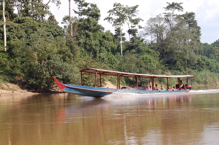 Taman Negara