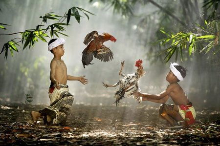 Alimenta tu inspiración, cincuenta imágenes de National Geographic