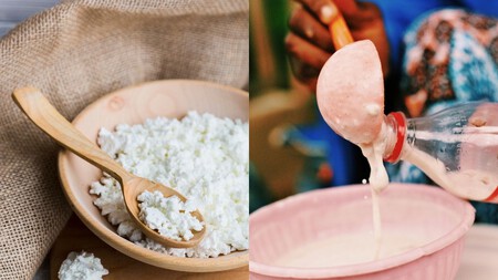 Preparacion Kefir