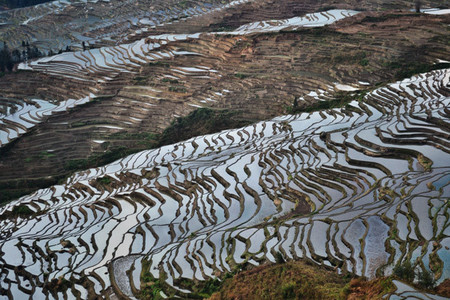 Terrazas de arroz de Honghe, China