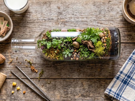 Dales una segunda vida a tus frascos de vidrio: crea un terrario bonito para decorar cualquier rincón de tu casa