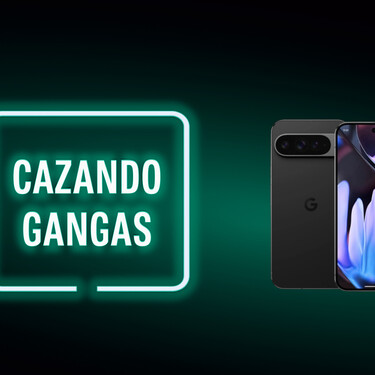 Cazando Gangas