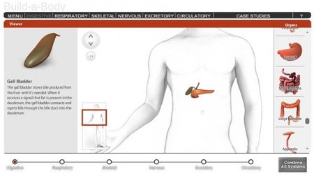 Construye un cuerpo humano online