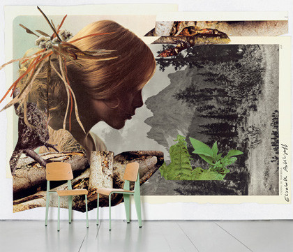 Foto de domestic (3/4)