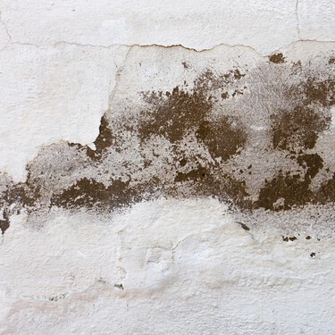 Cinco soluciones eficaces para acabar con los problemas de humedad en casa