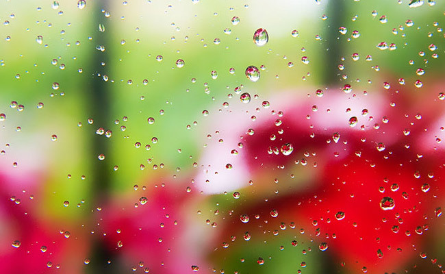 Fotografía de Miguel Michán