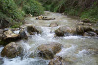 Viaje exótico por la Sierra de Almijara