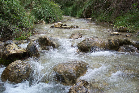 Viaje exótico por la Sierra de Almijara
