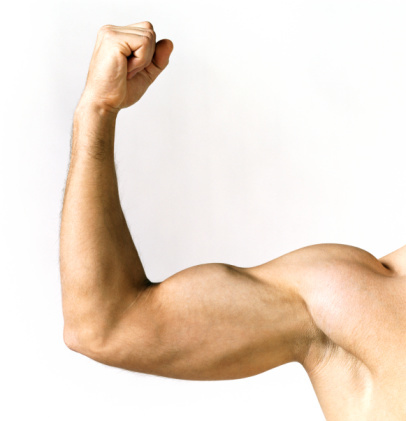 ¿Biceps y triceps en la misma sesión de entrenamiento?