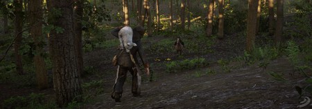 Pieles Perfectas Rdr2