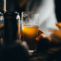 La ciencia ya sabe por qué la primera vez que probaste la cerveza te supo a rayos y ahora ya no: FOMO