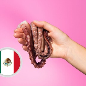 México se suma a Chile y presenta una ley federal para prohibir las granjas de pulpos 
