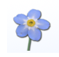 ForgetMeNot 4 gana soporte para Safari 3 beta