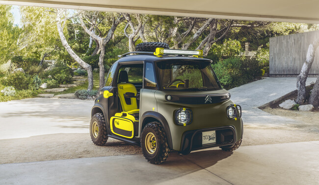 citroen ami