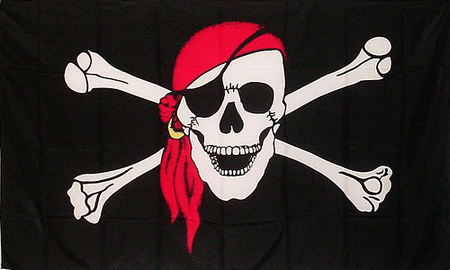 ¿Montamos una empresa o somos unos piratas?