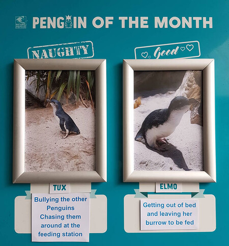 Tux y Elmo
