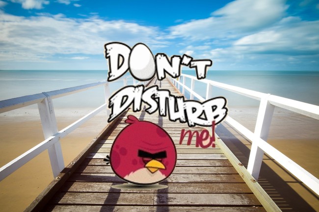 No Molestar Verano