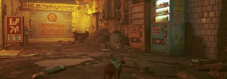 Bebida Energetica Stray