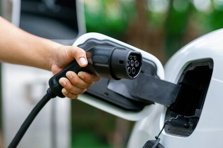 Hibrido Nuevo Leon 2