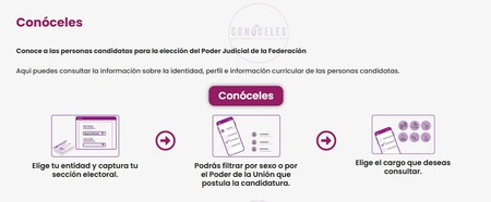 Ine Votacion 1 De Junio