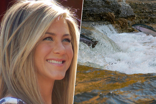 Aniston Y Salmon