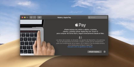 Apple Pay