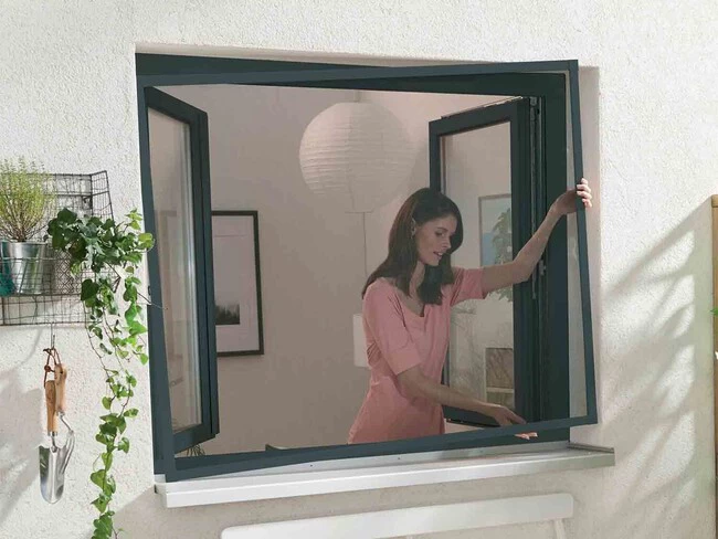 Mosquitera para ventana
