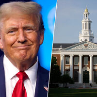 En su empeño por ganarle la carrera de la IA a China, EEUU ha cometido un error monumental: recortar fondos a las universidades 