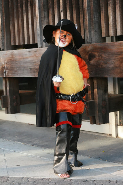 Disfraz gato con botas