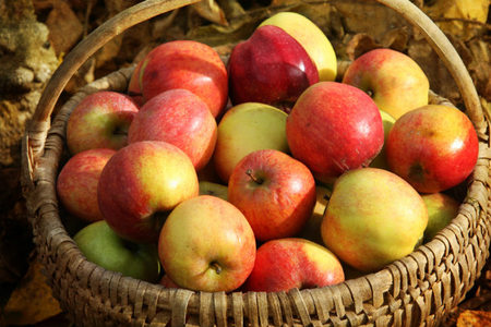 Manzanas en otoño: diferentes variedades y consejos para utilizarlas en la cocina