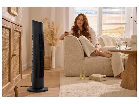 ventilador