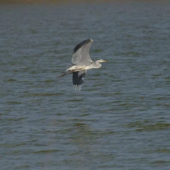 Foto 3 de 13 de la galería analisis-nikon-d810 en Xataka Foto