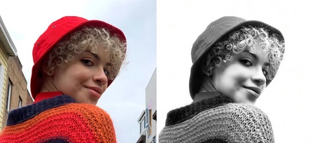 新しいモノラル ハイキー ライト ポートレート モード