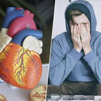 Llegar a fin de mes es una cuestión de salud pública: la ciencia apunta a que la tensión económica envejece el corazón 