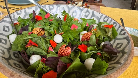 'La Aldea': el lugar secreto en Edomex rodeado de naturaleza, donde aprenderás a comer de forma sustentable