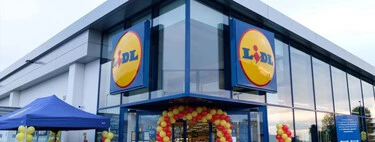 Ha llegado a Lidl la aspiradora 2 en 1 que elimina manchas y derrames a un precio de lo más económico 
