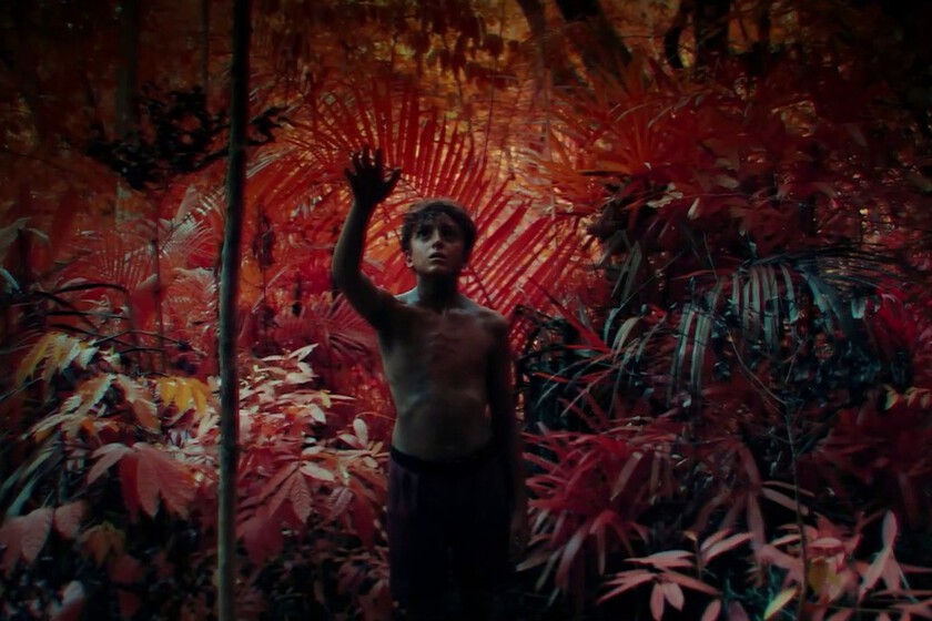 El creador de 'Adolescencia' presenta el intenso tráiler de su nueva miniserie, basada uno de los mejores libros de aventuras de todos los tiempos