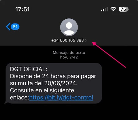 明らかな「なりすまし」のない SMS の例 (テキストは表示されませんが、発信番号が表示されます...ただし、本物である必要はありません)