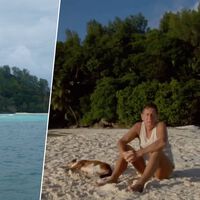 Un hombre se compró una isla desierta en 1962: plantó 16.000 árboles y la convirtió en un santuario anti-ricos