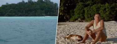 Un hombre se compró una isla desierta en 1962: plantó 16.000 árboles y la convirtió en un santuario anti-ricos