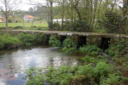 Pontella Vella Lires Cee