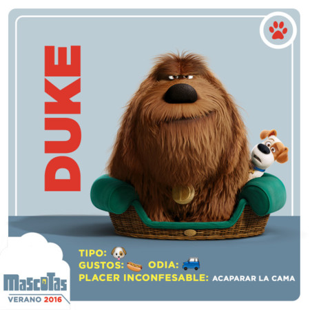 Mascotas 2