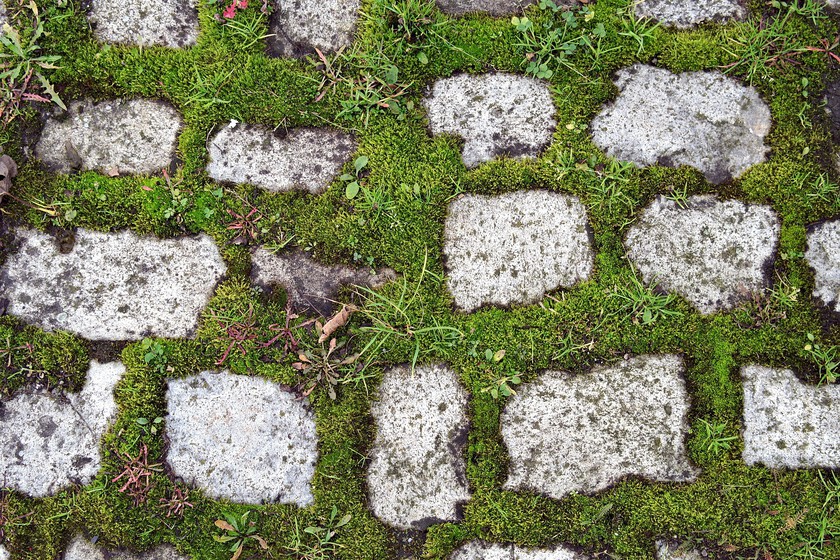 Pavers 2946486 1920