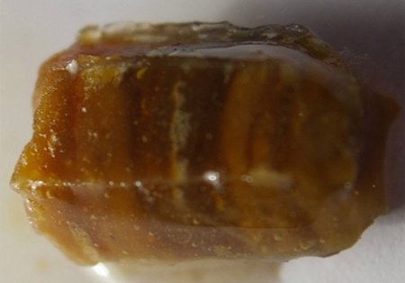 El propóleos, un medicamento preparado por las abejas