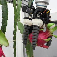 Dos jóvenes construyeron un robot barato que hace una tarea que ni todos los agricultores pueden automatizar 