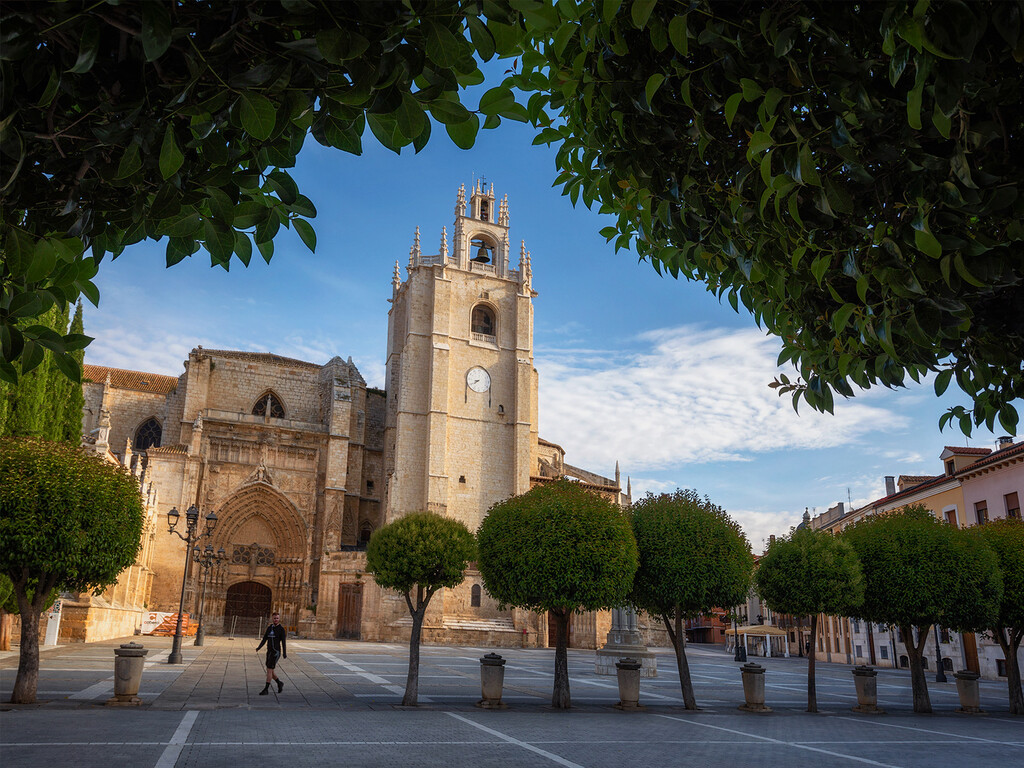 Empata con Zaragoza y supera a Sevilla: así es la singular catedral palentina que se conoce como La Bella Desconocida
