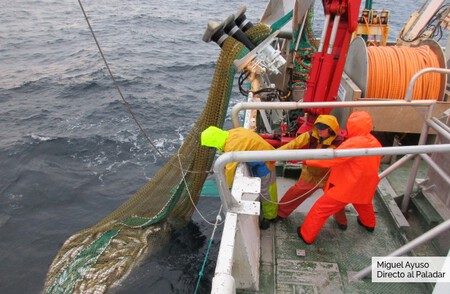 Pesca Skrei
