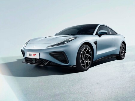 neta gt